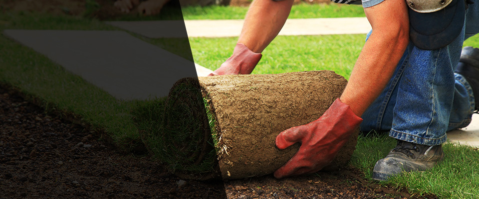 Arabi Landscapers